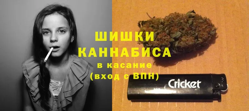 Бошки марихуана Bruce Banner  Опочка 